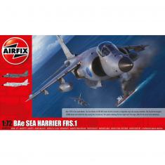 Model plane :BAe Sea Harrier FRS.1