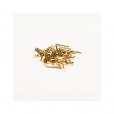 Model boat accessories: Brass nails 10 mm