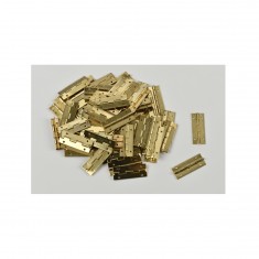 Brass hinges mm.25x10