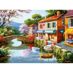 Puzzle 1000 pièces : Jolies boutiques d'un village pittoresque