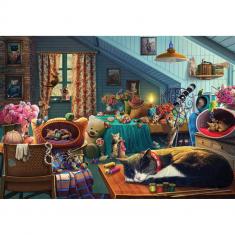 260 piece puzzle: Playroom Playroom for kitten