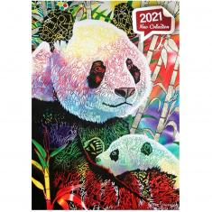 1000 pieces puzzle: Rainbow Panda