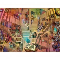 1000 pieces puzzle : Library  