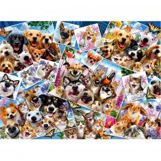 Puzzle 2000 Teile: Selfie Pet