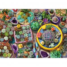 Puzzle de 1000 piezas : Macetas de cactus