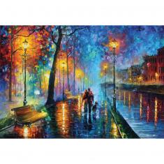 2000 pieces puzzle : Melody of the Night