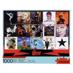 1000 pieces puzzle : David Bowie Album