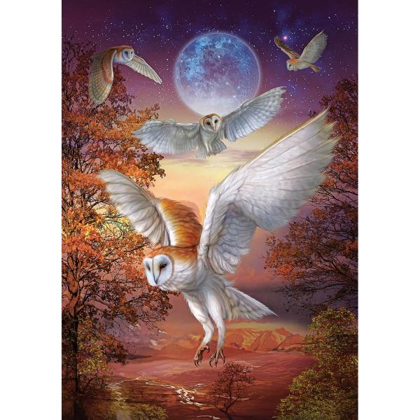1000 piece puzzle : Moonlight Owls - ArtPuzzle-5273