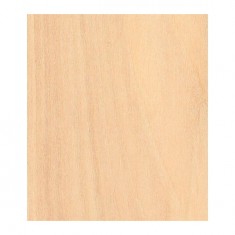 Basswood plywood: 900 x 300 x 2 mm