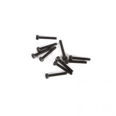 M2.5 x 16mm Cap Head Screw (10)