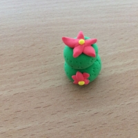 De jolis cactus pour la fête des grand-mères - Image n°10