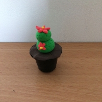 De jolis cactus pour la fête des grand-mères - Image n°13