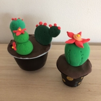 De jolis cactus pour la fête des grand-mères - Image n°14
