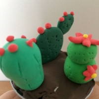 De jolis cactus pour la fête des grand-mères - Image n°15