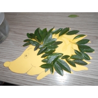 Fabriquer sa boite Petit hérisson Snifff !!! - Image n°13