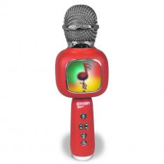 Wireless speaker microphone - TWS function