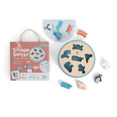 Shape Sorter