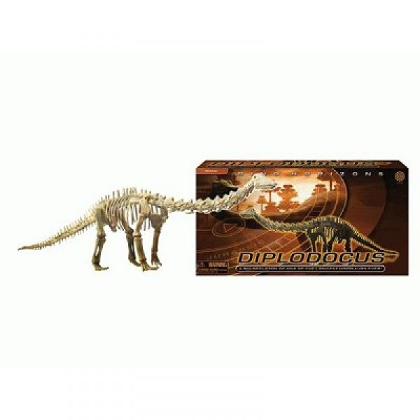 Dinosaures à assembler - Squelettes géants : Diplodocus - Buki-487FR