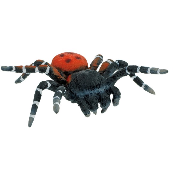 Figurine araignée : Mygale - Bullyland-B68458