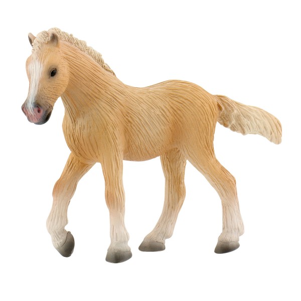 Figurine cheval : Poulain Palomino - Bullyland-B62761