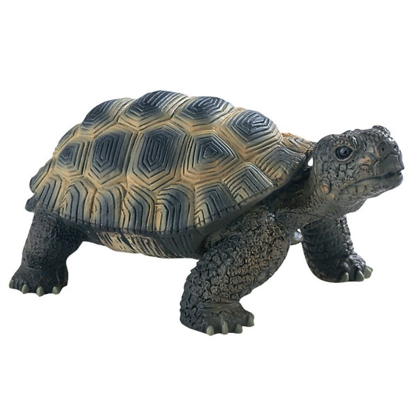 Land Turtle Figure: Deluxe - Bullyland-B63553