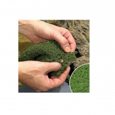 Model making: Flocking material: Vegetation - Foam