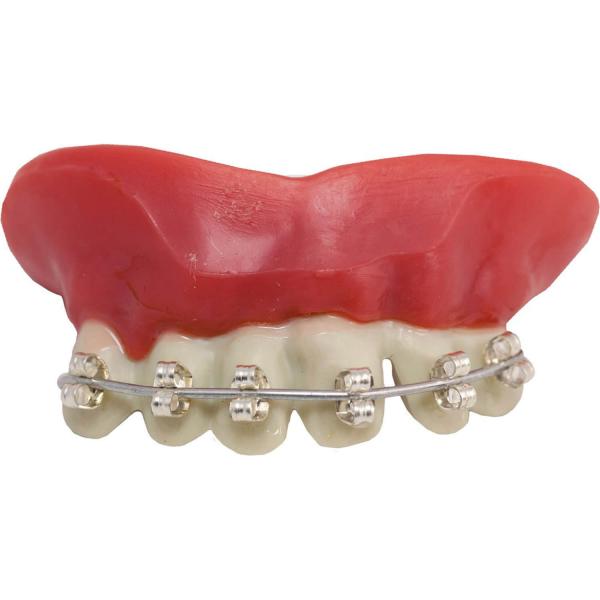  aparato dental para dentadura postiza - RDLF-28761