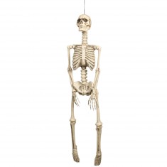 Decoración colgante esqueleto 92 cm
