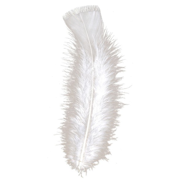 Bolsa de 50 plumas blancas - 0498W