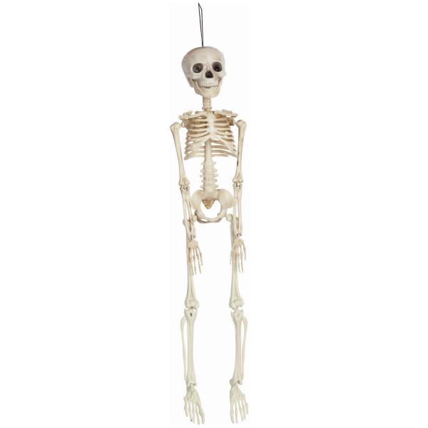 Esqueleto Articulado 45 cm PVC - S4387