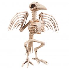 Esqueleto de cuervo 32cm