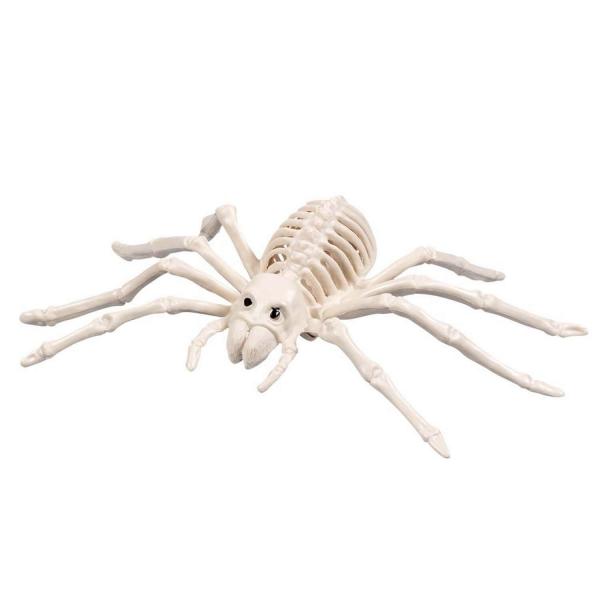 Esqueleto de araña 23x14cm - 72403