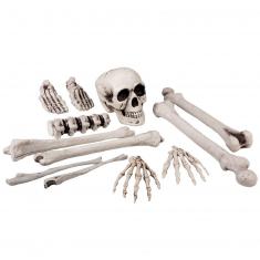 Set 12 piezas Calavera y huesos
