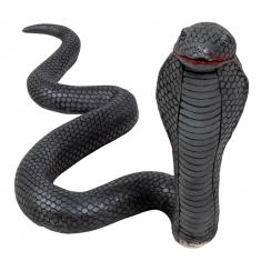  Cobra de látex