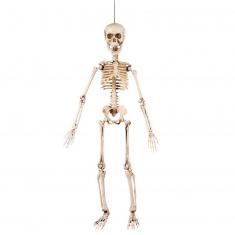 Decoración colgante Esqueleto móvil 50cm