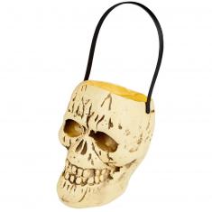 Cubo de calavera