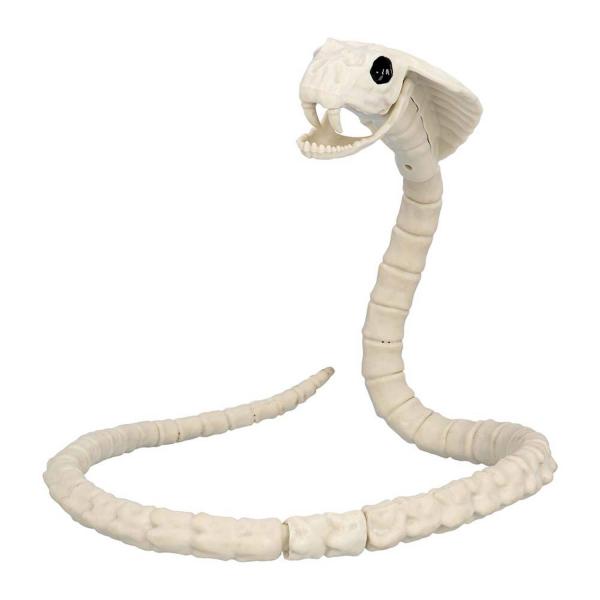  Esqueleto de serpiente - RDLF-72417