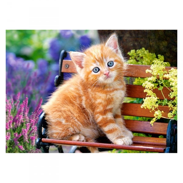 180 piece puzzle: Kitten on a bench - Castorland-018178