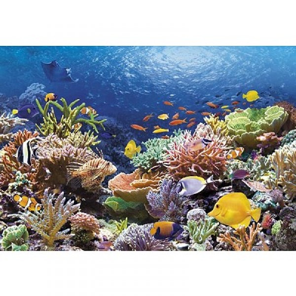 Coral Reef Fishes,Puzzle 1000 pieces  - Castorland-101511