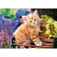 Ginger Kitten, Puzzle 500 pieces 