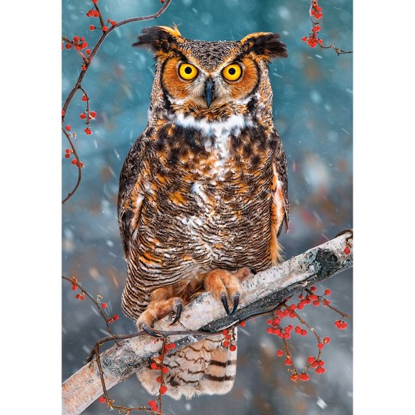 Great Horned Owl, Puzzle 500 pieces  - Castorland-B-52387
