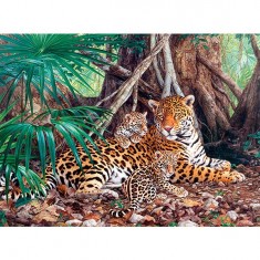 Jaguars in the jungle,Puzzle 3000 pieces 