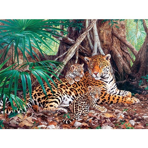 Jaguars in the jungle,Puzzle 3000 pieces  - Castorland-300280