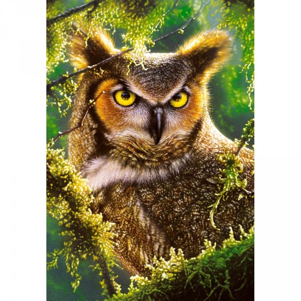 Puzzle 1000 pièces : Hibou en veille - Castorland-103577-2