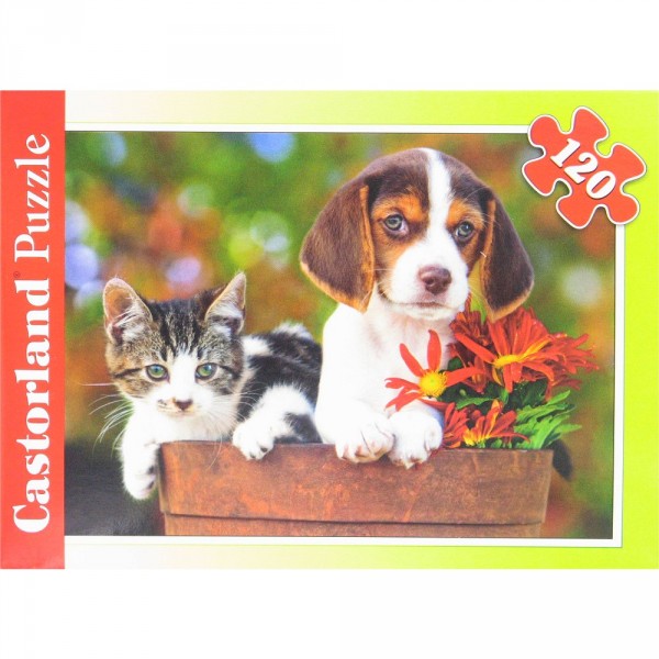 Puzzle 120 pièces : Chat et chien dans un pot de fleurs - Castorland-12022Z-13