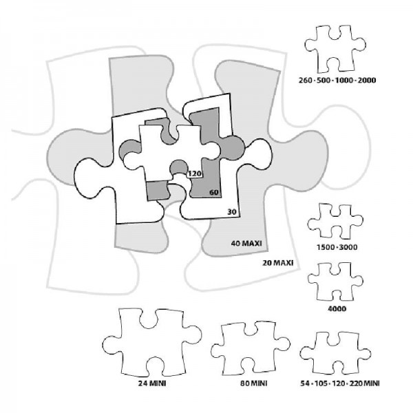 1500 Teile Puzzle - Andres Orpinas: Die schwarzen Schwäne - Castorland-151042