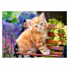 Puzzle 180 pièces : Chaton sur un banc