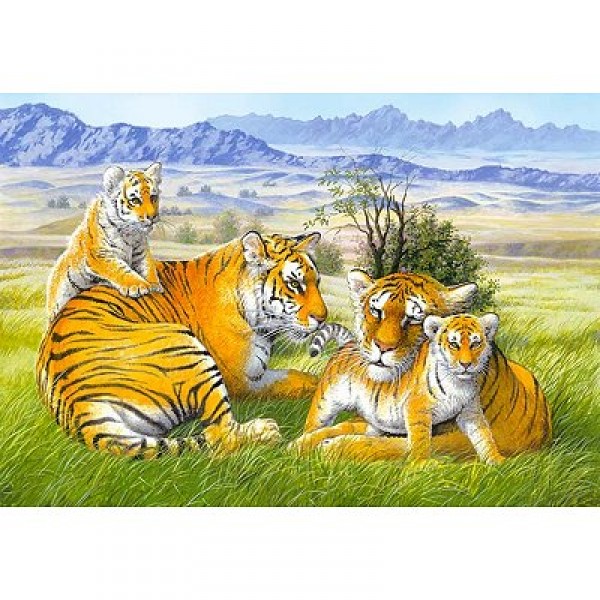 Puzzle 260 pièces - Famille de Tigres  - Castorland-26722