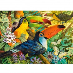 Puzzle 3000 pièces : Toucans