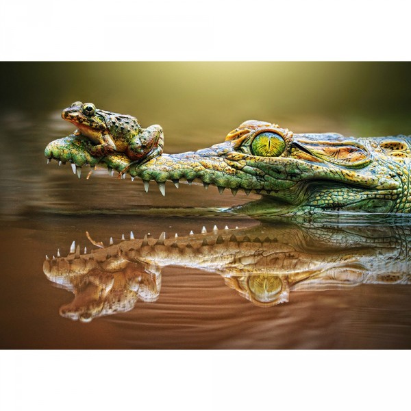 Puzzle 500 pièces : La grenouille et le crocodile - Castorland-52318